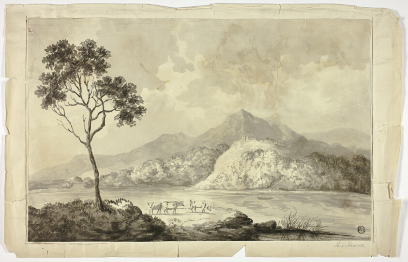 Cows by Mountain Lake