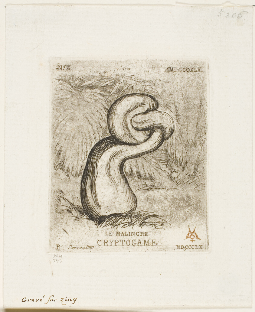 The Sickly Cryptogam