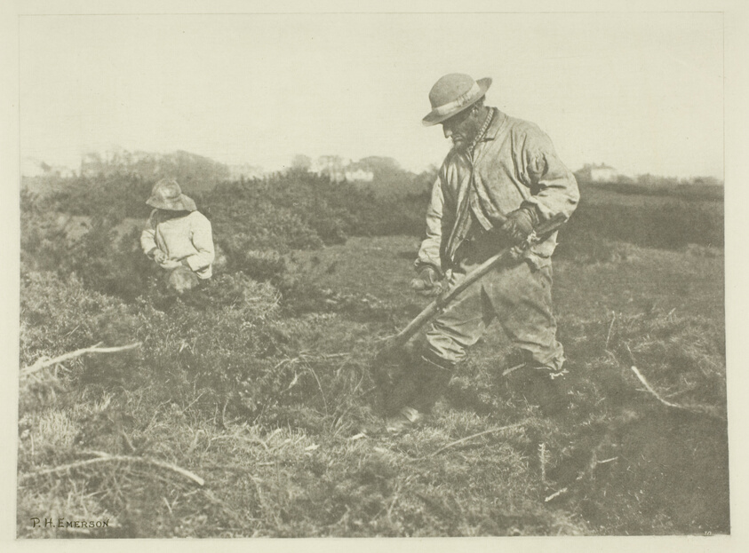 Furze-Cutting on a Suffolk Common
