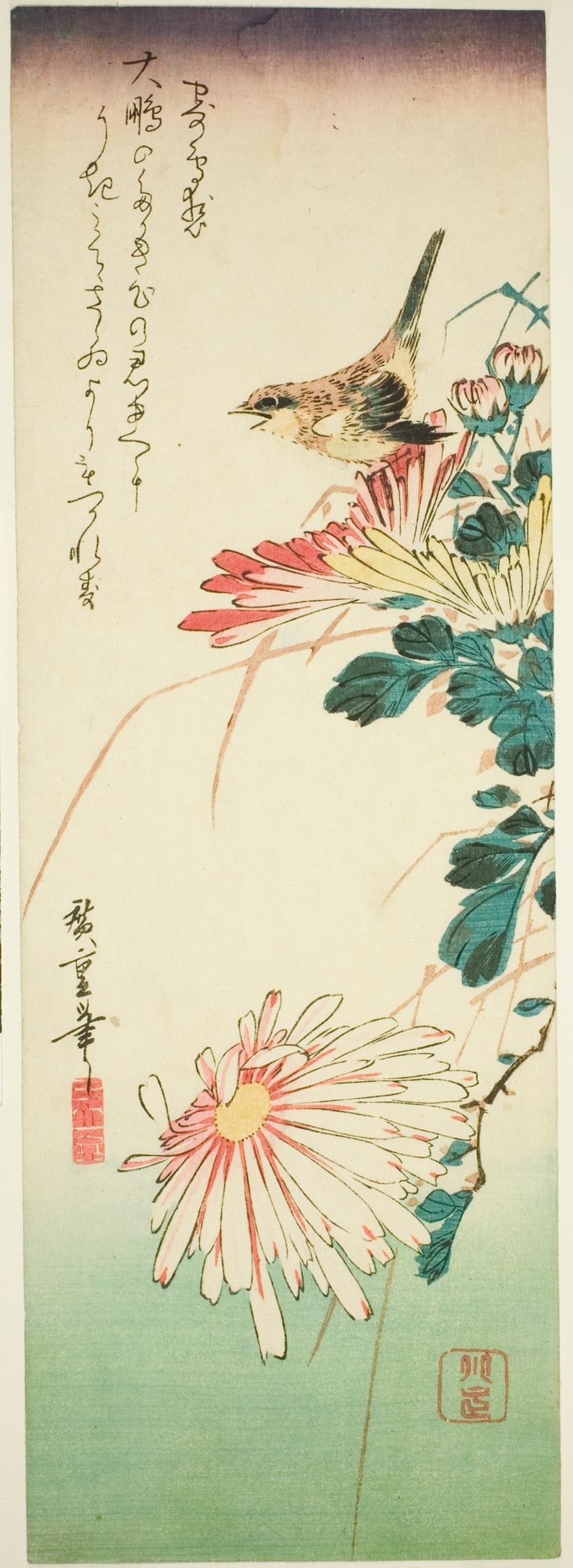 Bird and chrysanthemums