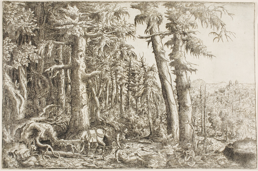 The Good Samaritan
