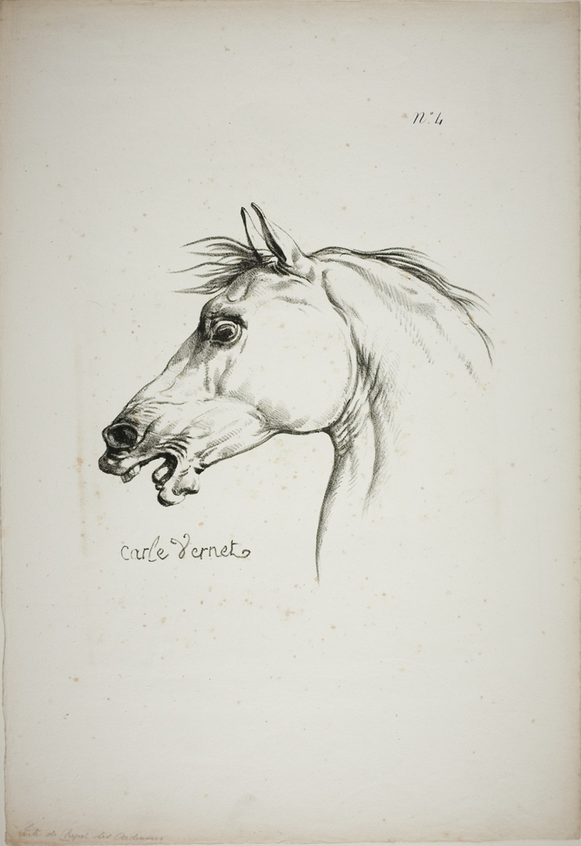 Detail of Horse's Head, Enlarged to Triple Size, Norman Royal Guard, No. 4
