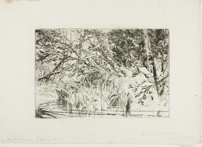 Mouth of a Brook, No. II