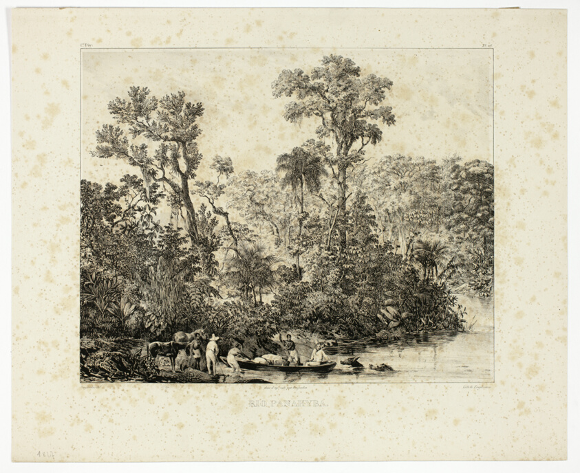 Rio Panahyba, plate 16 from Landscapes, volume 1 of Voyage pittoresque dans le Brésil