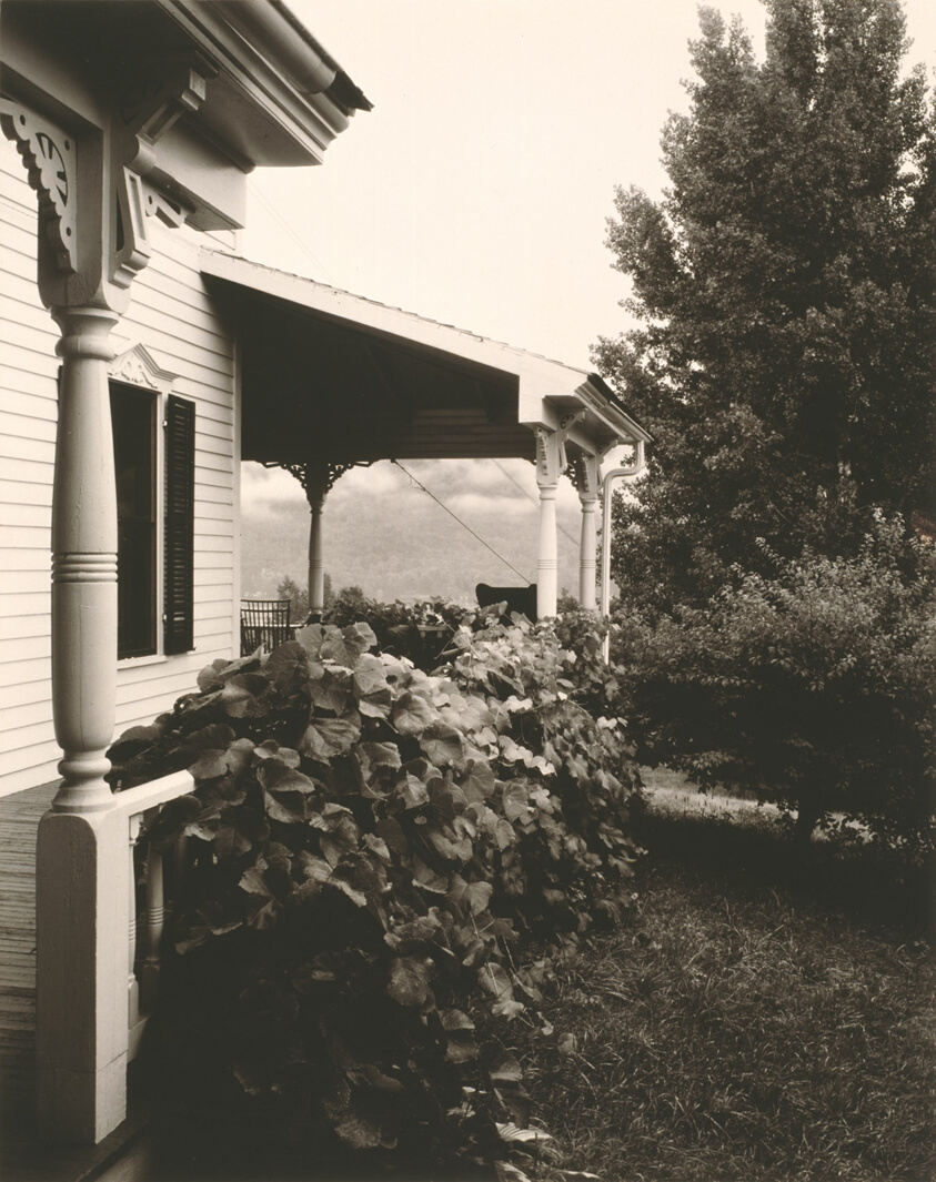 House and Grape Leaves