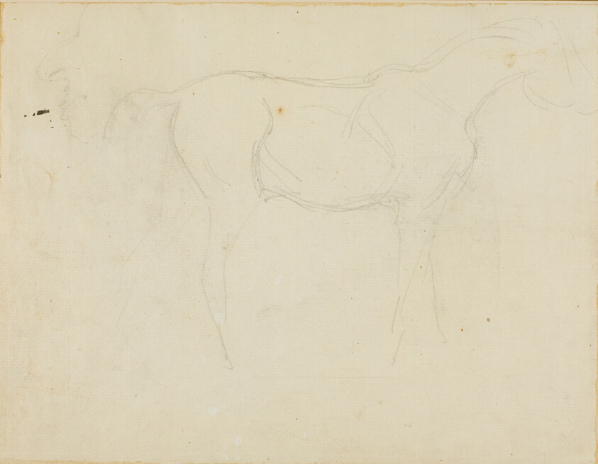 Sketch of a Horse Facing Right and a Caricature in Profile