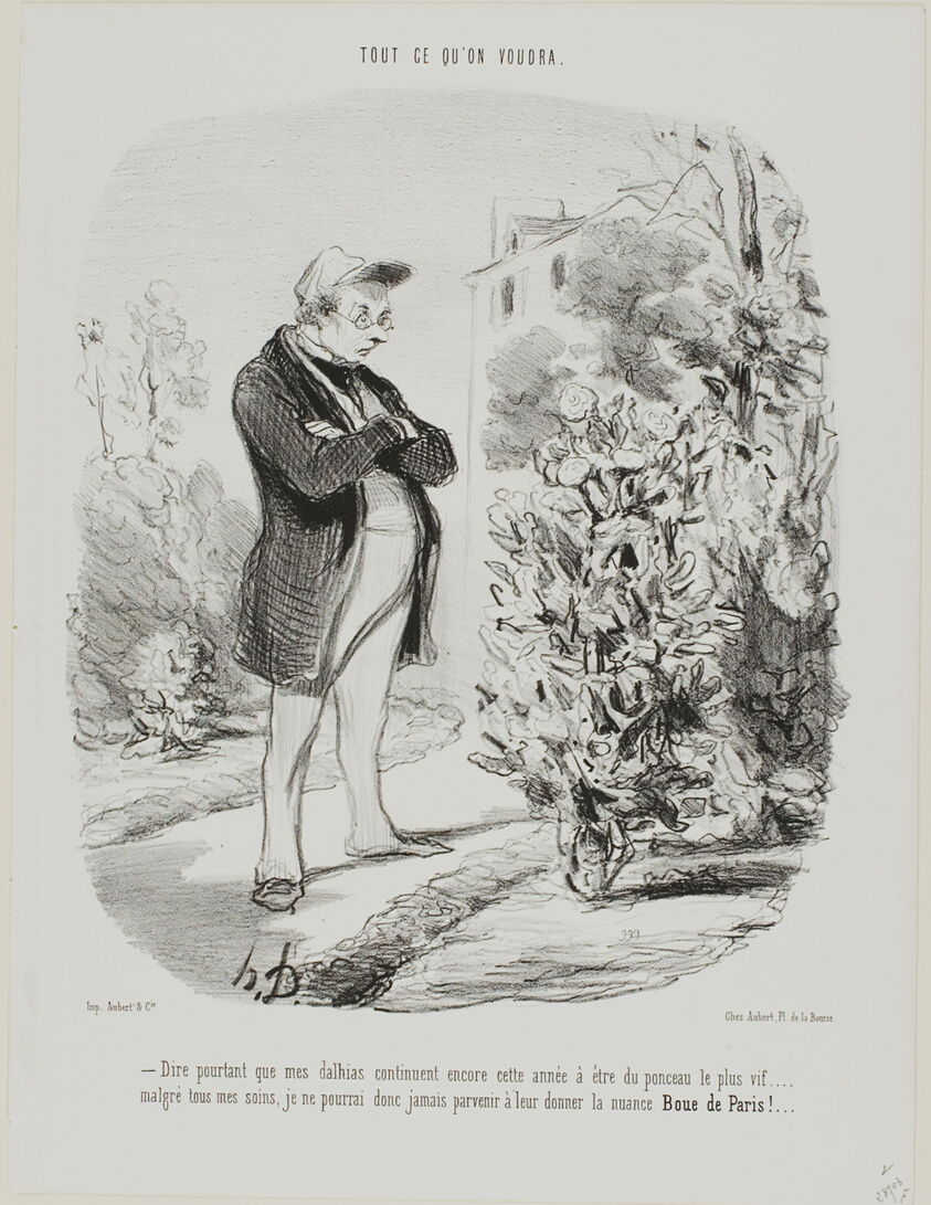 “- Dire pourtant que mes dahlias continuent encore cette année à être du ponceau le plus vif . . . . malgré tous mes soins, je ne pourrai donc jamais parvenir à leur donner la nuance Boue de Paris !...,” plate 6 from Tout Ce Qu'on Voudra