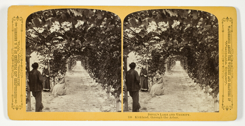 Kirkland, through the Arbor, No. 138 from the series "Devil's Lake and Vicinity"