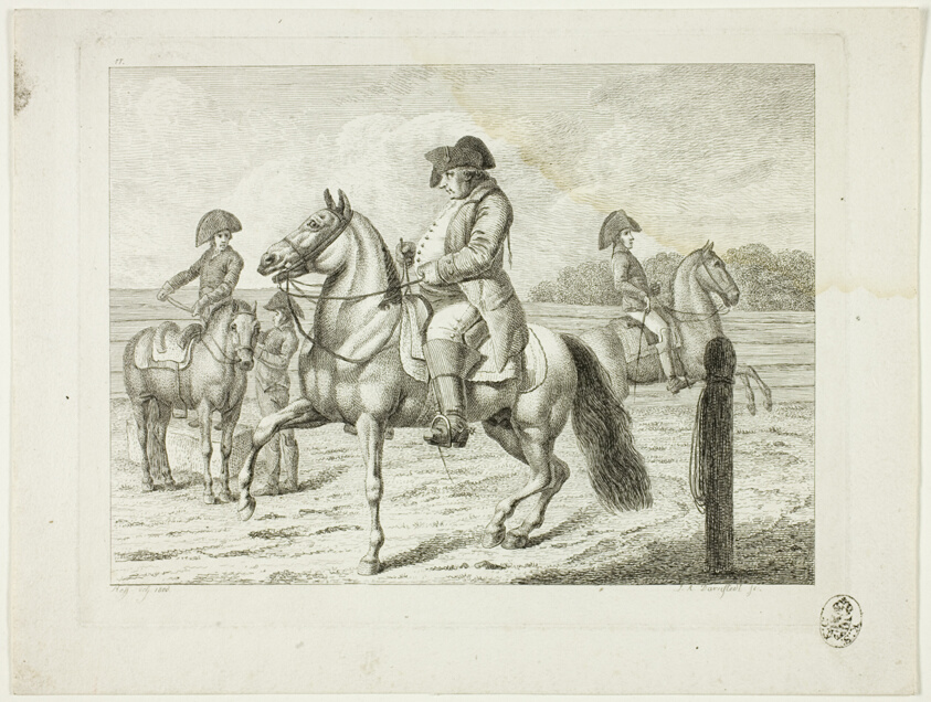 Riding School and Horses