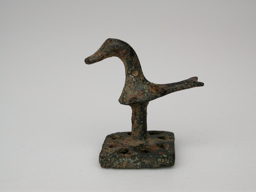 Seal with Bird