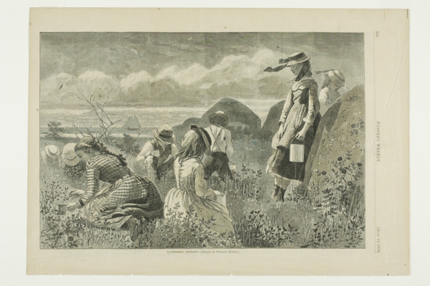 Gathering Berries
