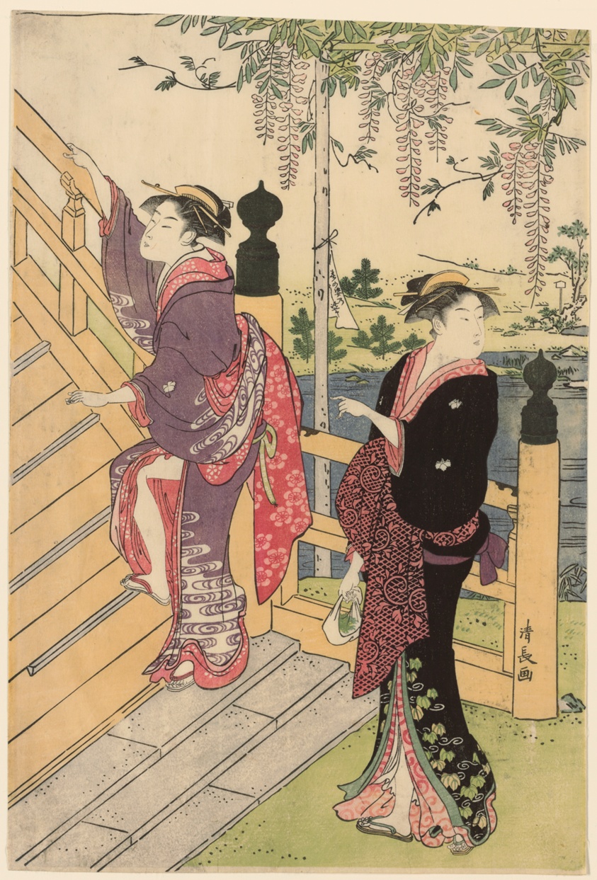 Admiring the wisteria at Kameido Shrine