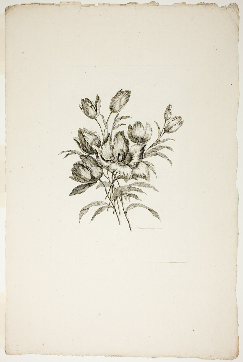 Bouquet with Tulips, from Recueil de differents bouquets de fleurs