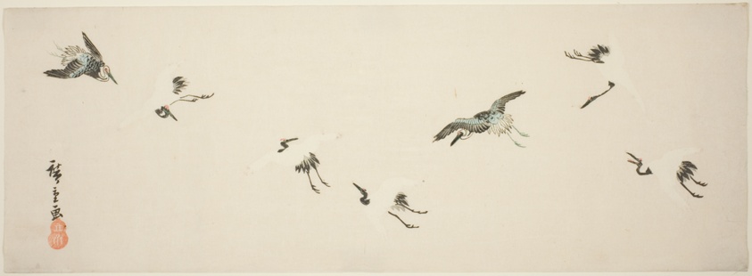 Cranes in flight