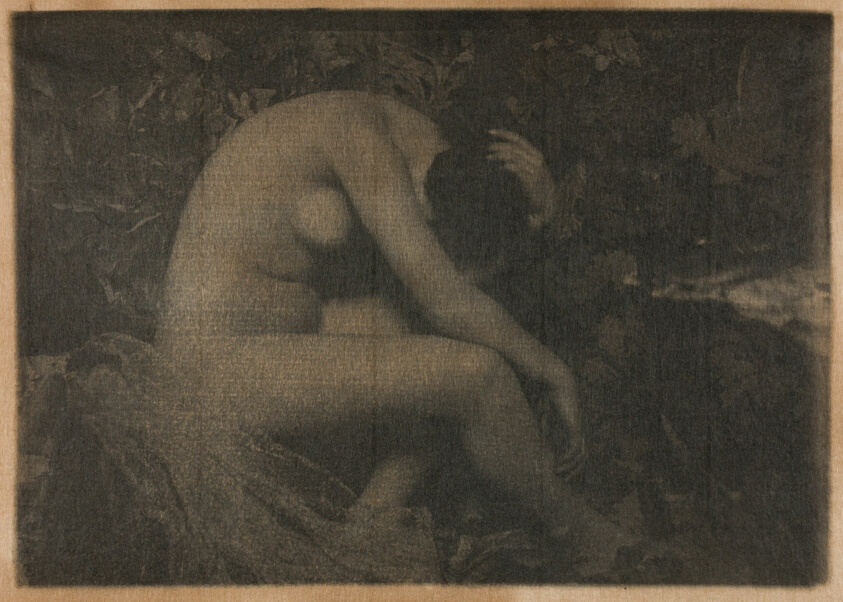 La Cigale