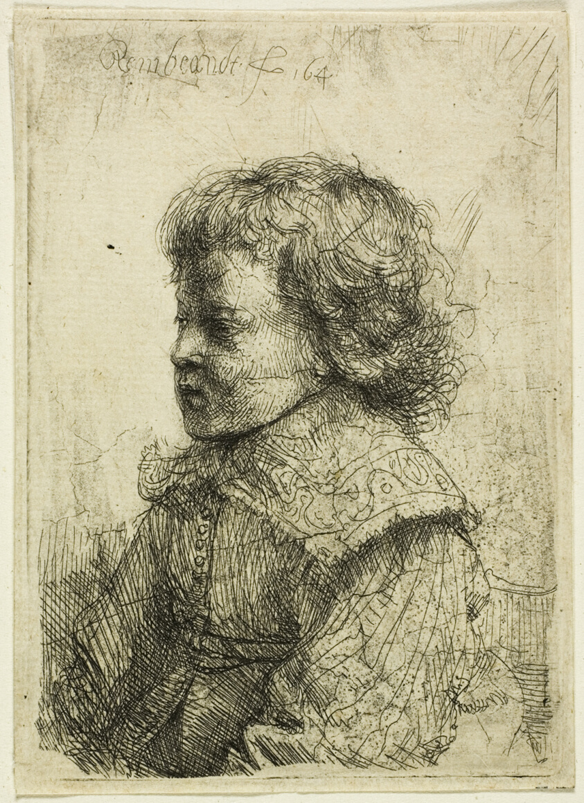 Portrait of a Boy