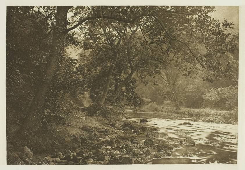 Near Reynard's Cave, Dove Dale