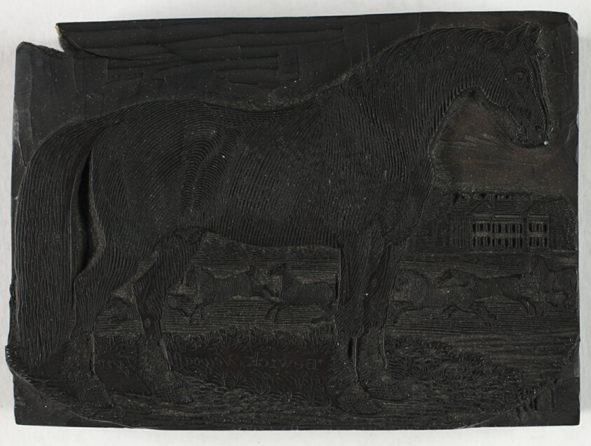 Woodblock for The Black Horse, from a General History of Quadrupeds