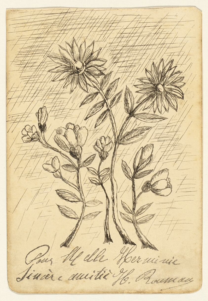 Oak Branch