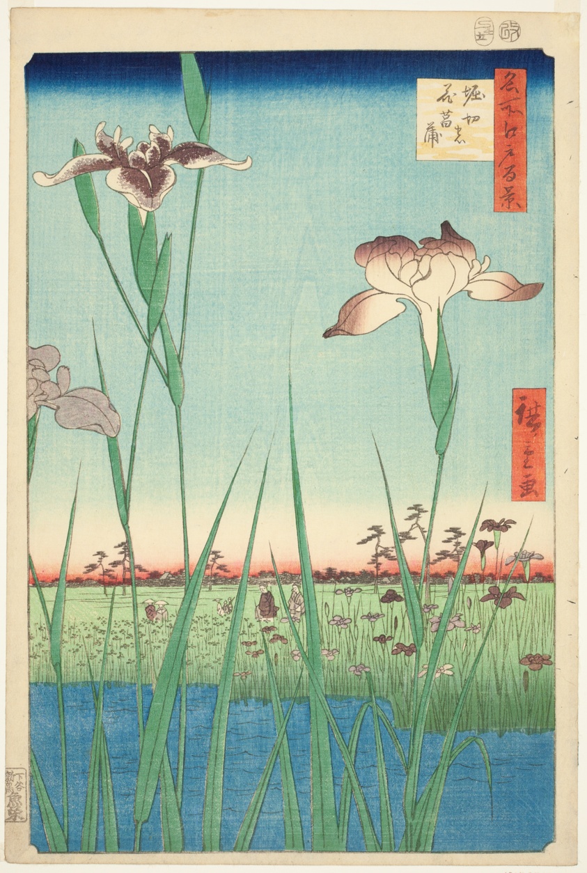 Irises at Horikiri (Horikiri no hanashobu), from the series "One Hundred Famous Views of Edo (Meisho Edo hyakkei)"