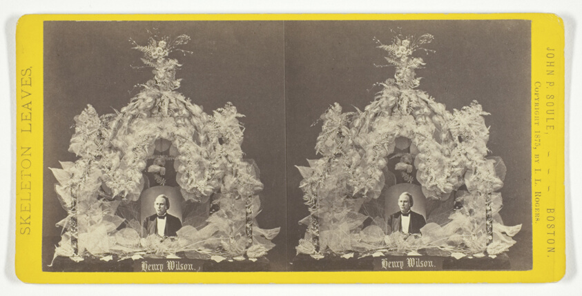 Henry Wilson, from the series "Skeleton Leaves"