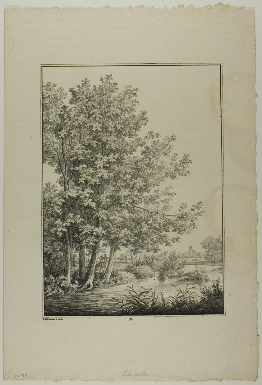Plate 30 from Blatt Baum und Landschafts Studien