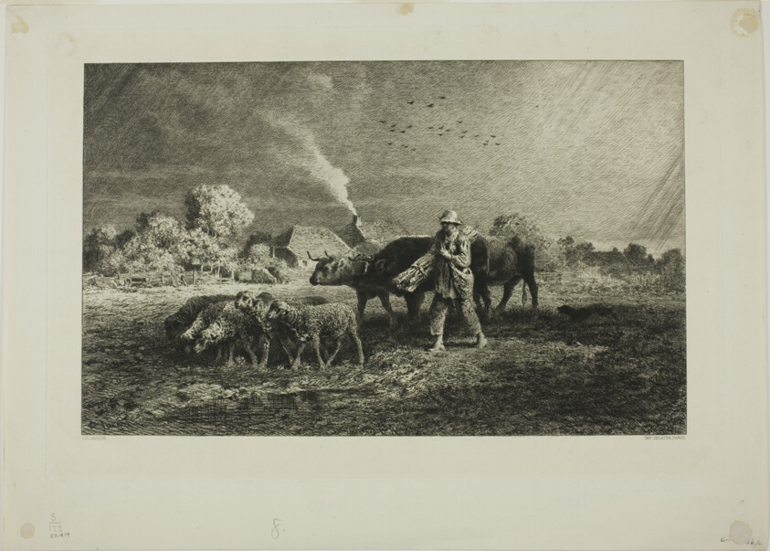 The Storm