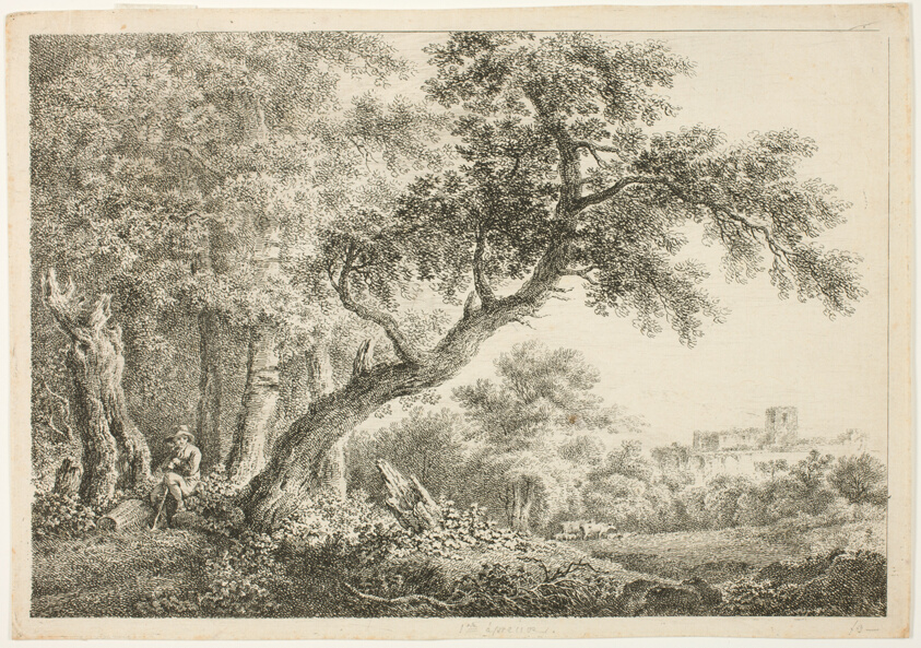 Wanderer Resting in the Forest