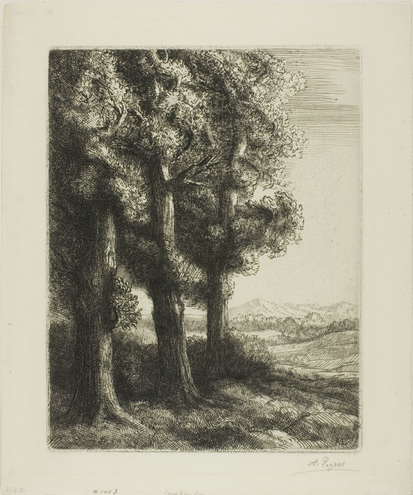 Edge of a Wood