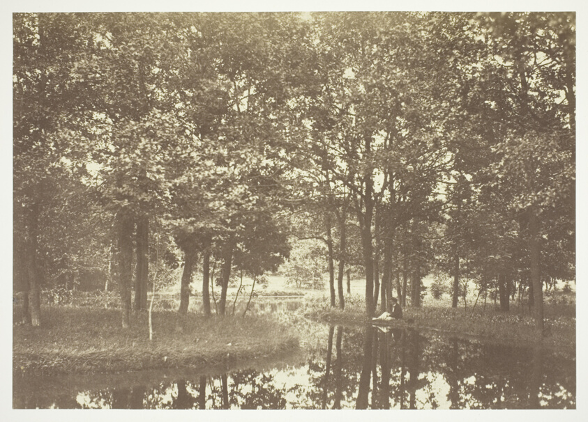 Untitled, from the series "Bois de Boulogne"