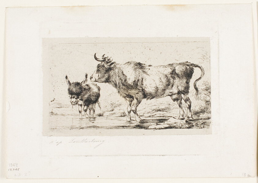 The Cow and Ass