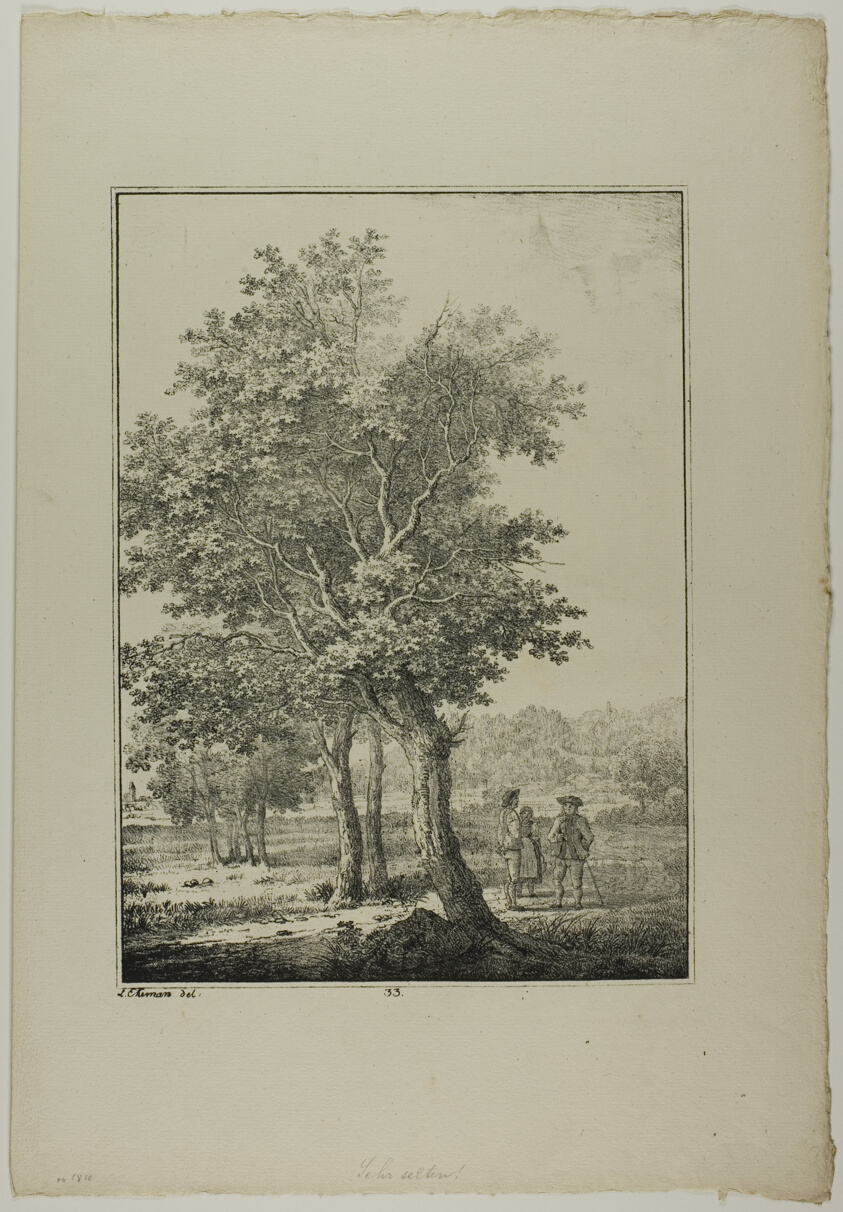 Plate 33 from Blatt Baum und Landschafts Studien