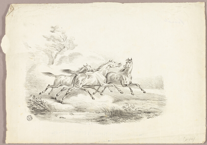 Three Horses Running
