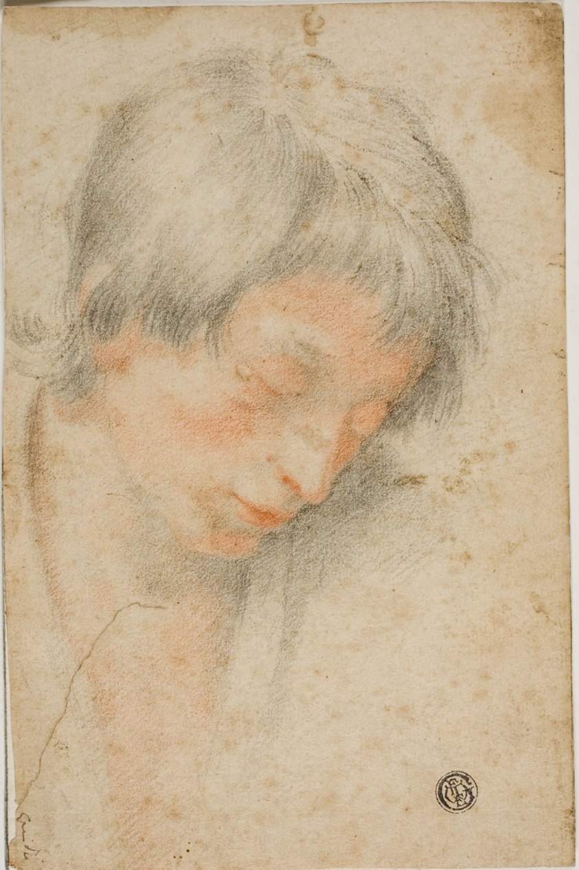 Head of Youth Looking Down