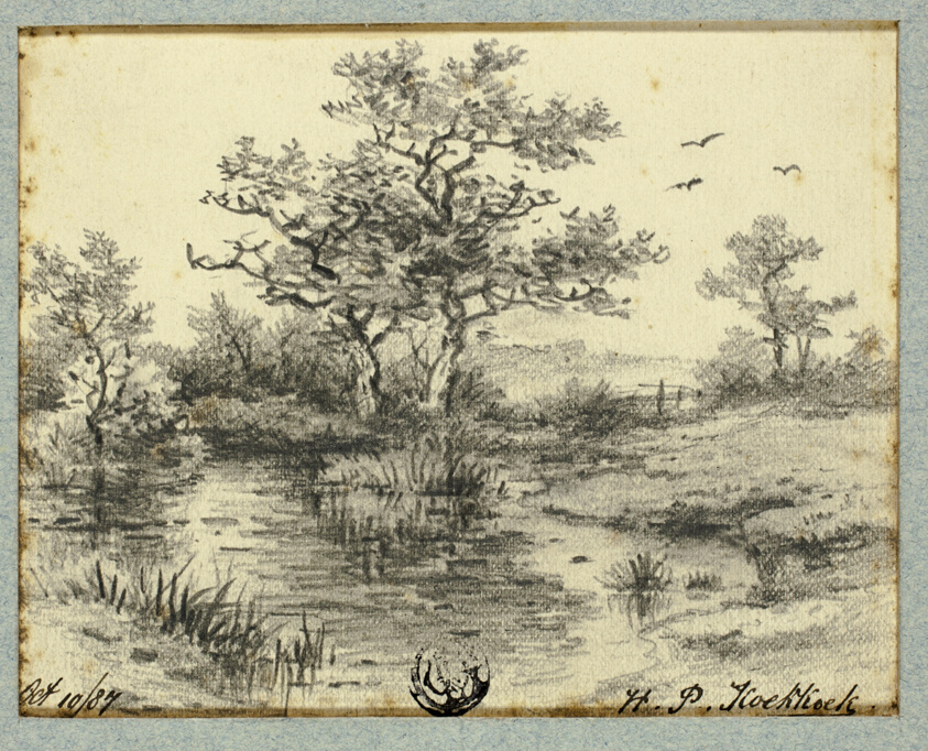 Trees by Pond