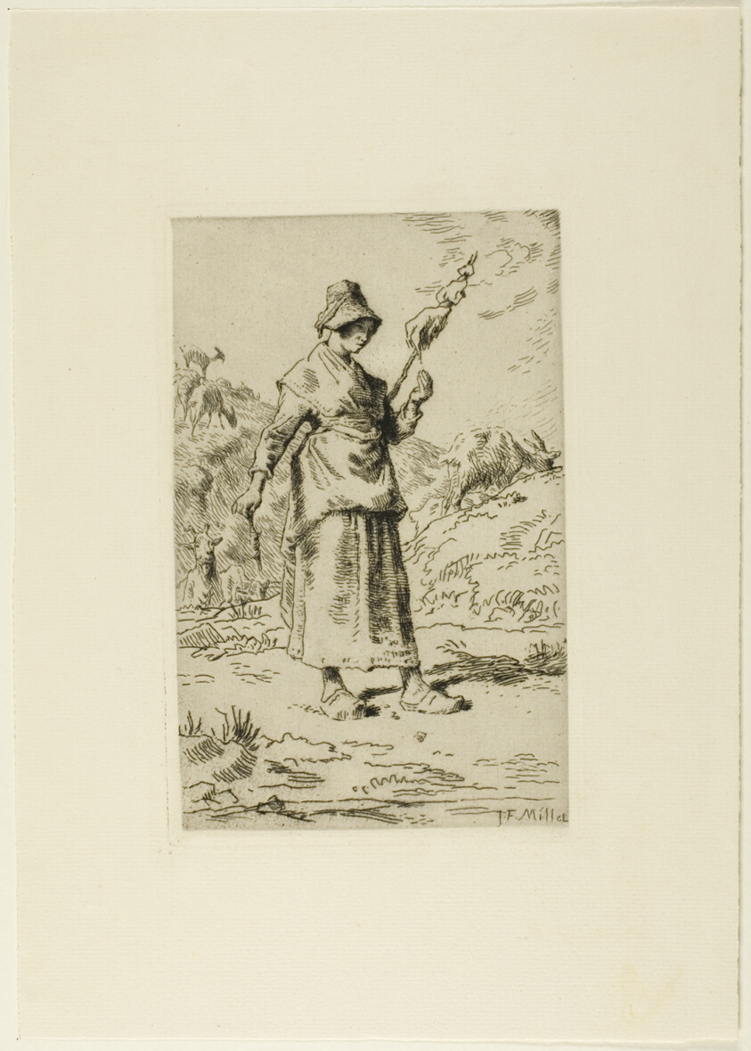 The Spinner
