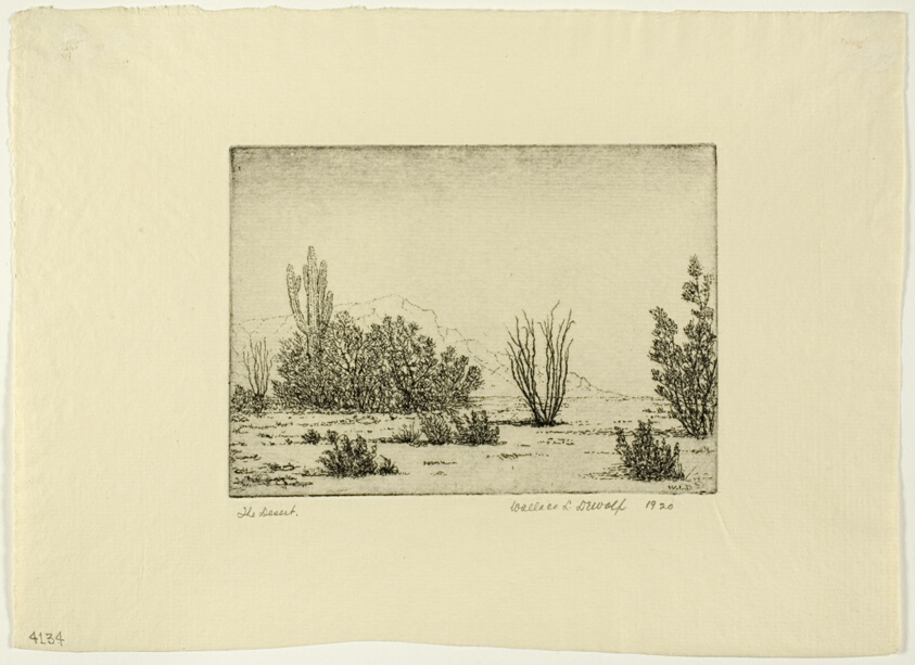 The Desert