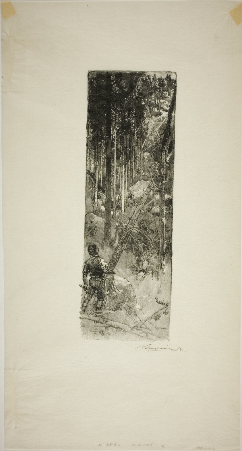 Falling Pines