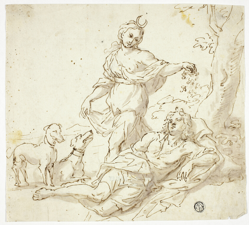 Diana and the Endymion