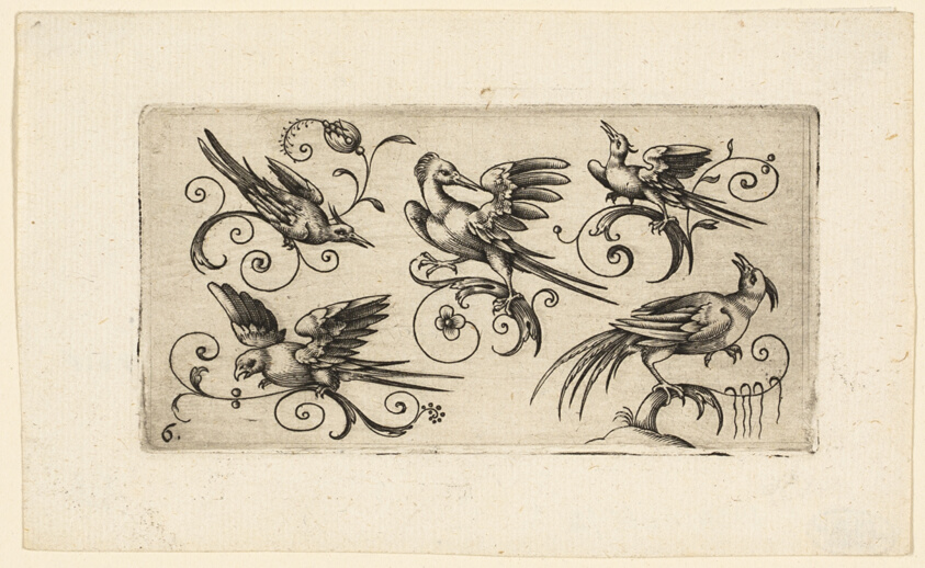 Ornament Panels with Birds: Plate 6