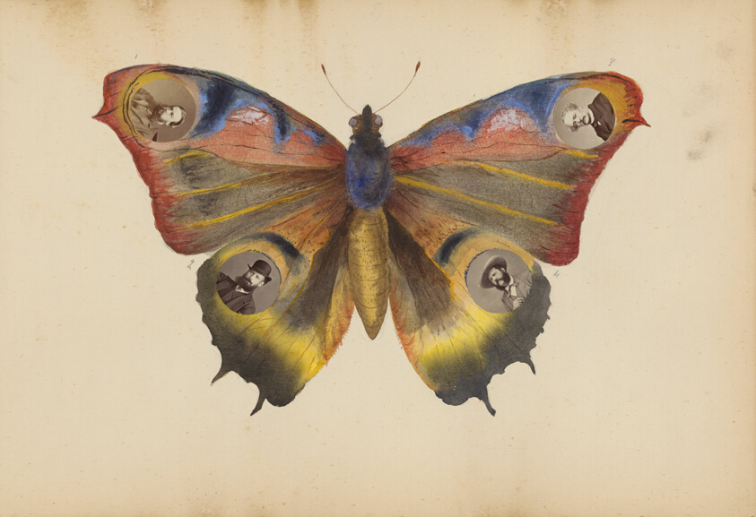 The Madame B Album