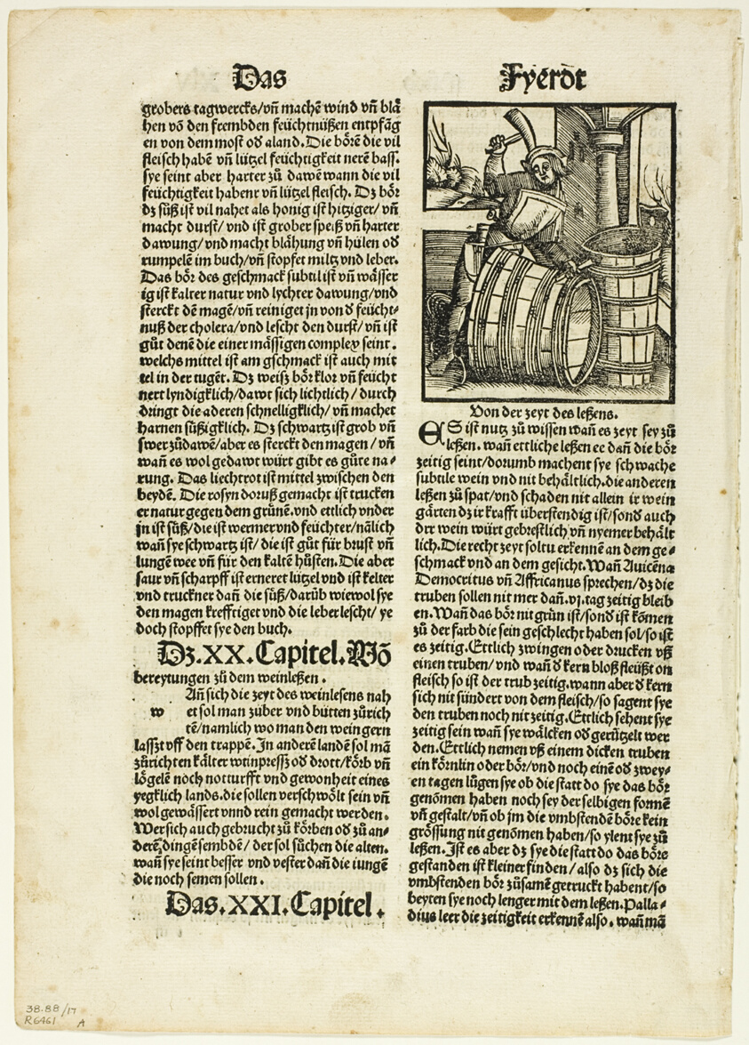 Illustration from Von dem nutz der ding, plate seventeen from Woodcuts from Books of the XVI Century