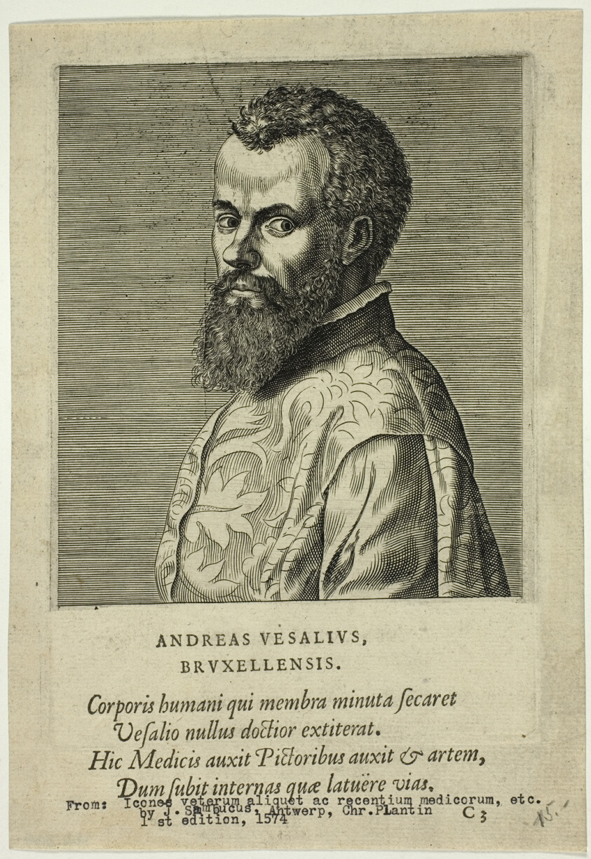 Portrait of Doctor Andreas Vesalius of Brussels