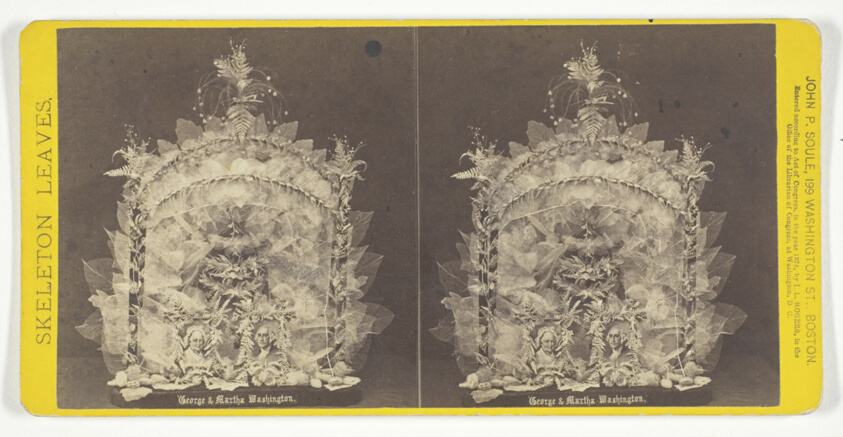 George & Martha Washington, from the series "Skeleton Leaves"