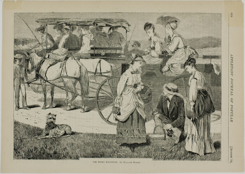 The Picnic Excursion