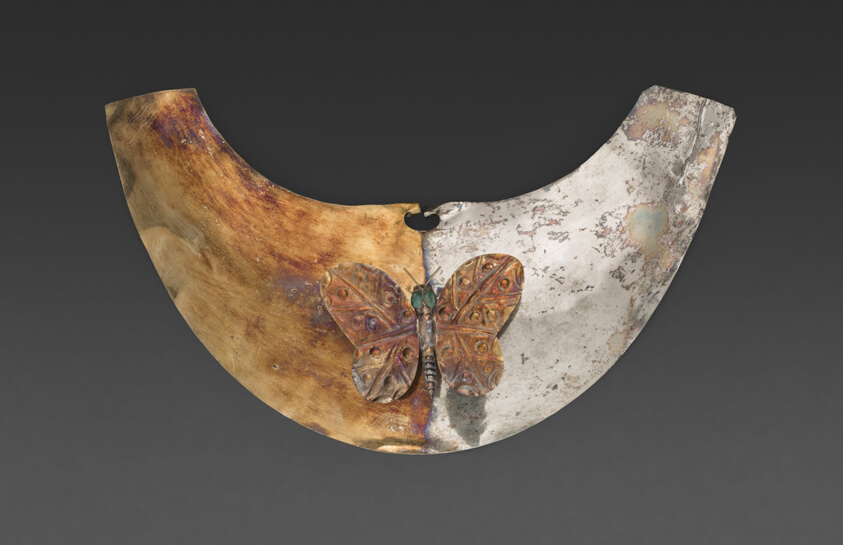 Nose Ornament