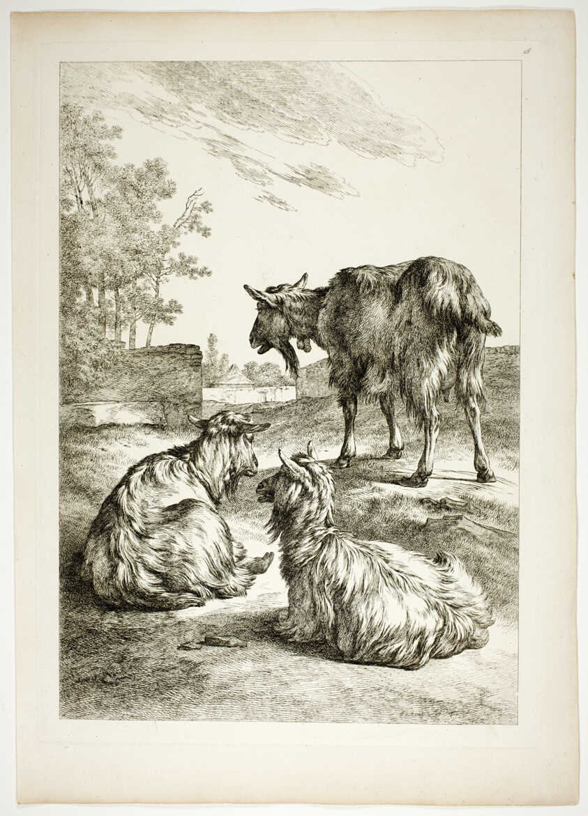 Plate Eighteen of 38 from Oeuvres de J. B. Huet