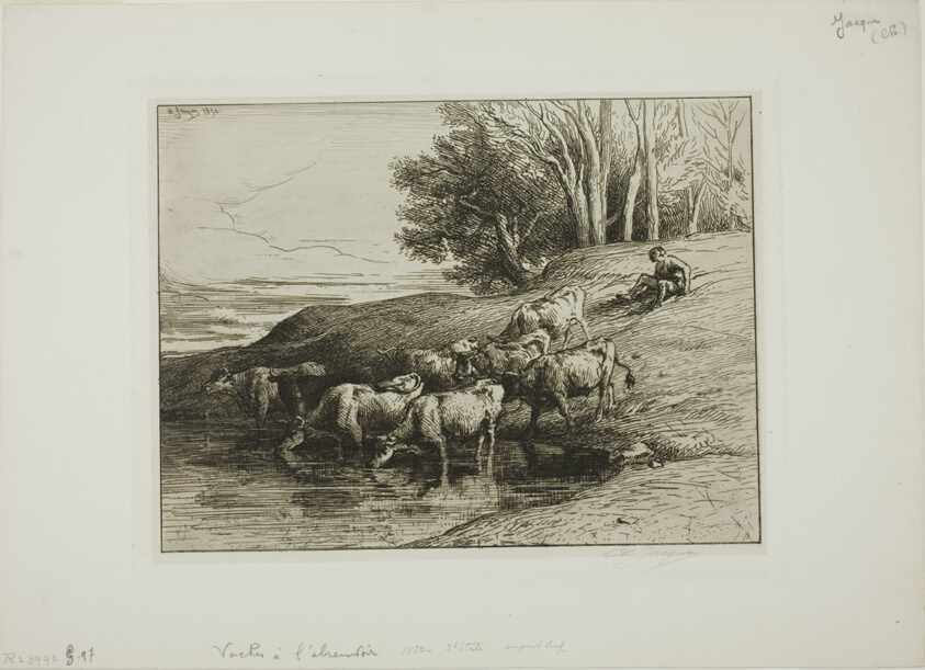 Cows at the Watering Place