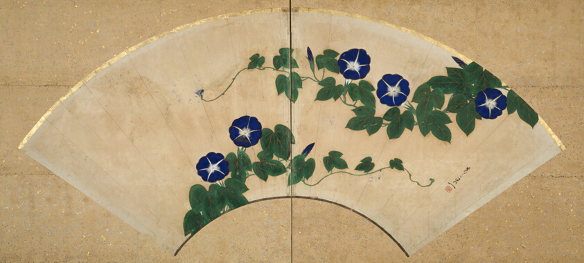 Morning Glories
