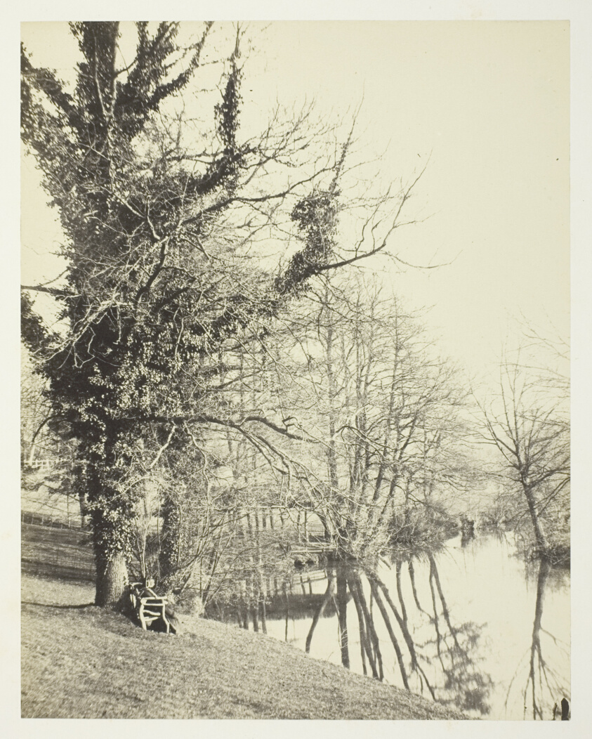 On the Mole